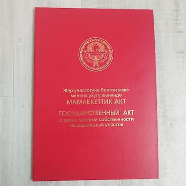 баа: 30 соток, Кызыл китеп — 1