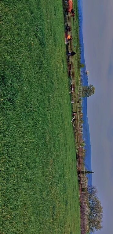 Torpaq sahələrinin satışı: 10 sot, Tikinti, Mülkiyyətçi, Bələdiyyə — 5