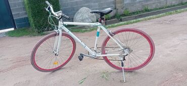 велосипед алюминий: Шессойник велосипед
Рама алюминий
Размер шины 28
Состоение отличное