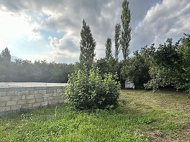 Torpaq sahələrinin satışı: 12 sot, Mülkiyyətçi, Kupça (Çıxarış) — 5