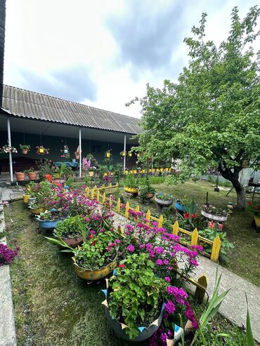 Günlük kirayə evlər: 180 kv. m, 2 otaqlı, Qaz, Su, İnternet -da lalafo.az — 4 Günlük kirayə evlər: 180 kv. m, 2 otaqlı, Qaz, Su, İnternet — 4