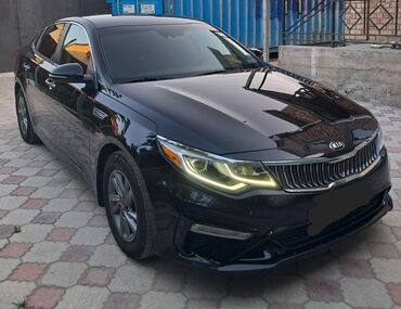 краска для автомобилей: Kia Optima: 2019 г., 2.4 л, Автомат, Бензин, Седан