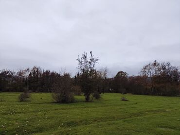 Torpaq sahələrinin satışı: 18 sot, Kənd təsərrüfatı, Mülkiyyətçi, Bələdiyyə — 3