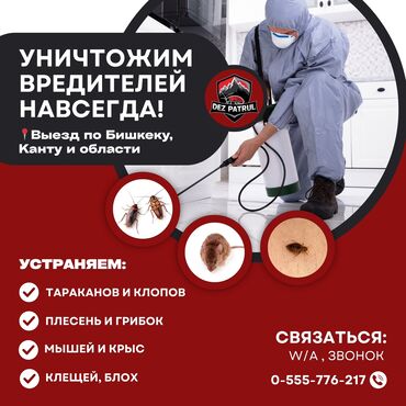 расценки на сантехнические работы в бишкеке: Дезинфекция, дезинсекция, | Клопы, Блохи, Тараканы, | Транспорт, Офисы, Квартиры