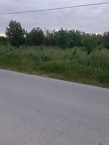 quba 5 sotlar: 35 sot, Kənd təsərrüfatı, Maklerlər narahat etməsin, Kupça (Çıxarış) — 10