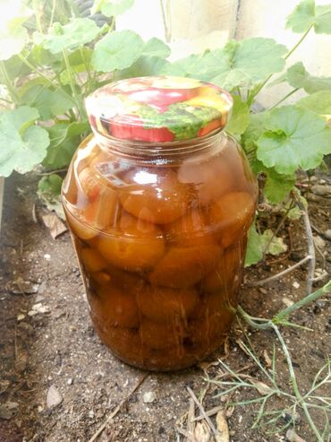 русский язык 2 класс мсо 5: Гантели, Вес: 2 кг, Новый