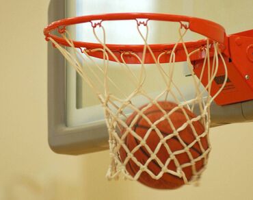 aktivni ves za decu: Obruč za košarku sa mrežicom 44cm / KOŠ unutrašnjeg prečnika 44cm