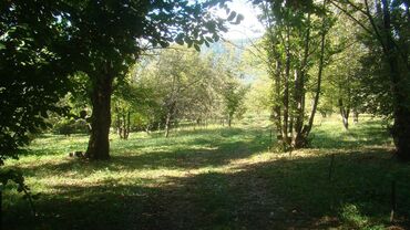 Torpaq sahələrinin satışı: 74 sot, Kupça (Çıxarış) -da lalafo.az — 12 Torpaq sahələrinin satışı: 74 sot, Kupça (Çıxarış) — 12