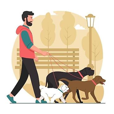 кой дорпер: Выгул собак 🐕 Выгуляю вашу собаку. ⏰ Время: 1 час 💰 Цена: 350 сом — 1