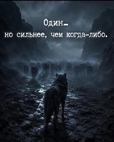 для комаров: Услуги на дом.Мелкий ремонт.Гипсокартон, покраска.По — 2