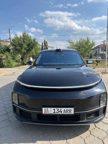 зарядное устройство для электромобиля: Li9 ULTRA