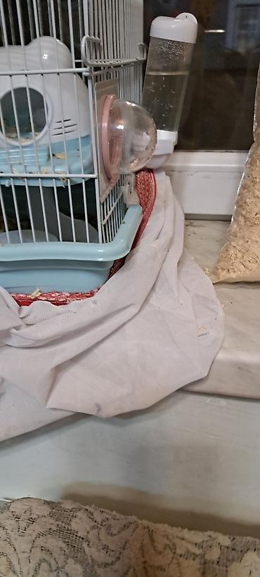 heyvan sikisi: Hamster üçün tam dəst qəfəs - Rəng: açıq mavi altlıq, ağ barmaqlıq - — 1