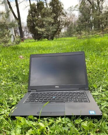 Ноутбуки и нетбуки: Dell, 16 ГБ ОЗУ, память SSD
