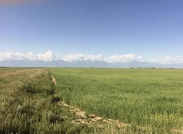 Продажа участков: 900 соток, Для сельского хозяйства, Красная книга — 3