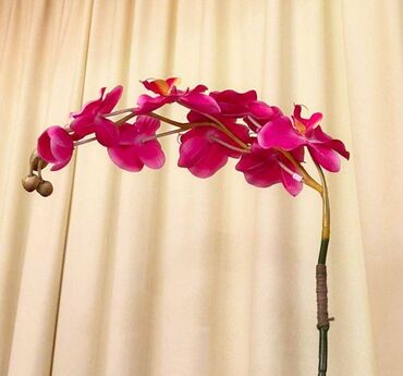 горшок для орхидеи: Цветок Орхидеи, муляж, высота ветки 70 см