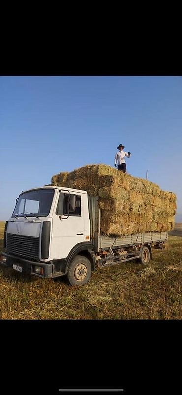 мото 300: Продаю грузовик маз зубрёнок 4370 2010года в рабочем среднем — 4