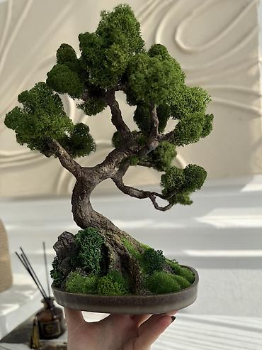 Декоративные цветы: Цены от 2500 сом( указаны на фото) В наличии и на заказ (3-7 дней) Все — 22