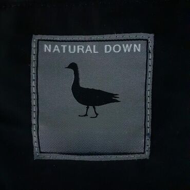 Ski jakne: Pepe Jeans, L, Poliester, bоја - Crna — 9