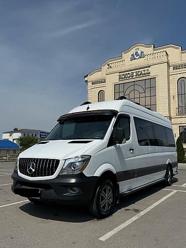 Автобусы и маршрутки: Автобус, Setra, 2020 г. — 13