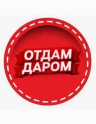 отдам даром косметика: Отдам даромвещи на девочку — 1