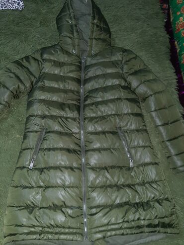 Куртки: Женская куртка M (EU 38), цвет - Зеленый, Terranova