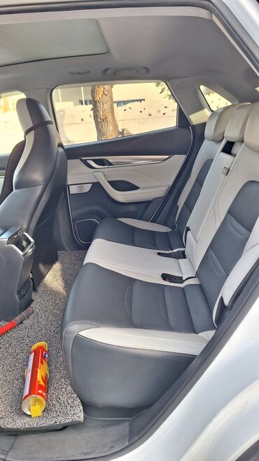 Weltmeister: Weltmeister EX5, 2021 г., 61000 км, Передний — 9