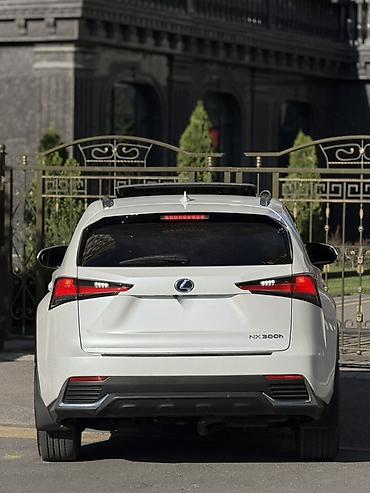 прикуриватель для машин: Lexus NX: 2020 г., 2.5 л, Вариатор, Гибрид, Кроссовер — 4