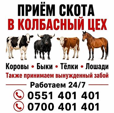 колбасный: Колбасный цех | Круглосуточно — 1