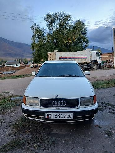 Audi 100: 1991 г., Седан