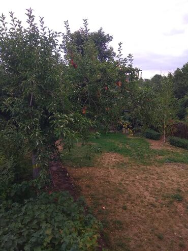 Продажа домов: Дача, 100 м², 4 комнаты, Риэлтор, Евроремонт — 23