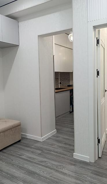 Продажа квартир: 2 комнаты, 44 м², парк Фучика Элитка, 6 этаж, Евроремонт — 5