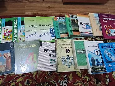 Школьные учебники и рабочие тетради — набор по разным предметам и