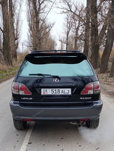 Lexus: Lexus RX: 2003 г., 3 л, Автомат, Бензин, Кроссовер — 5