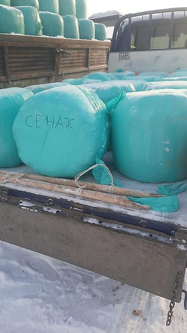 Корма для с/х животных: Кукурузный силос 7 сом + доставка сенаж 8000 сом + доставка качества — 10