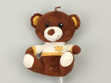 befado kapcie dziecięce allegro: Mascot Teddy bear, condition - Good