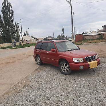 гур на форестер: Subaru Forester: 2000 г., 2 л, Автомат, Бензин, Кроссовер — 1