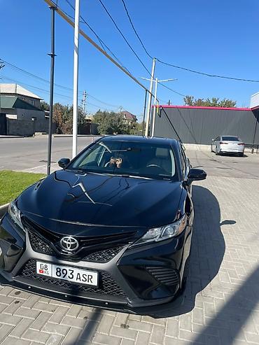 камри hv44: Toyota Camry: 2017 г., 2.5 л, Бензин, Седан — 4