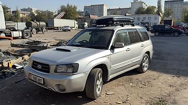 автобокс terzo: Subaru Forester: 2003 г., 0.2 л, Автомат, Бензин, Внедорожник — 5