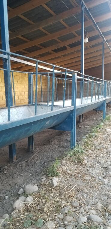 сокулук жугору: Продам кормушки для барашек 11 шт