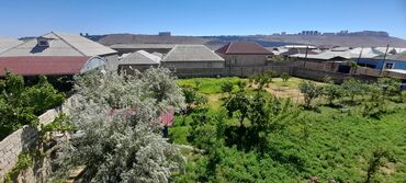 3 sot, Tikinti, Mülkiyyətçi