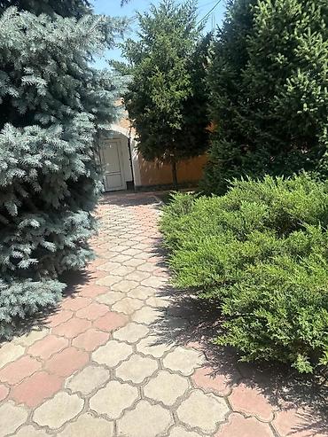 Долгосрочная аренда домов: 220 м², 6 комнат, Теплый пол, Евроремонт, Кондиционер — 5