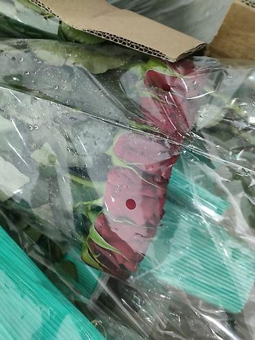 Букеты из живых цветов: Голландские Тюльпаны Оптом и в розницу!И Розы размеры 70см 80 см и 60 — 12