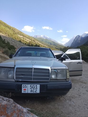 купить грузовой манипулятор: Mercedes-Benz W124: 1987 г., 3 л, Механика, Дизель, Седан