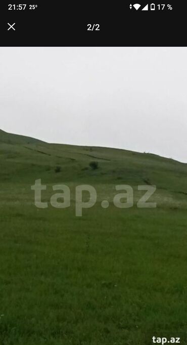 Saipa: 106 sot, Biznes üçün, Mülkiyyətçi, Kupça (Çıxarış)