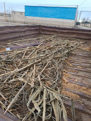 Traktorlar: Heç bir prablemi yoxdu sənətləri qaydasndadı — 11