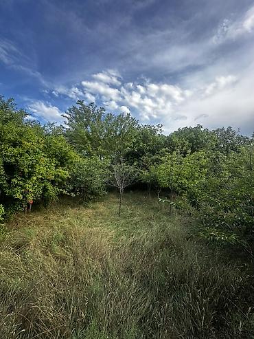 Torpaq sahələrinin satışı: 6 sot, Tikinti, Mülkiyyətçi, Kupça (Çıxarış) — 12