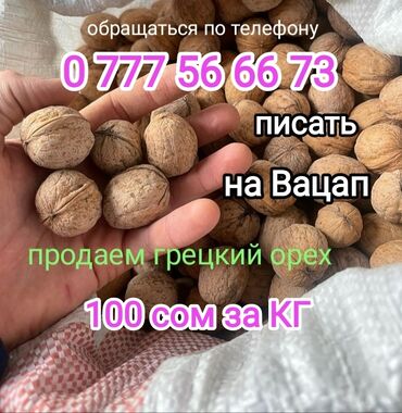 грецкий орех в кыргызстане: Сухофрукты, орехи, снеки