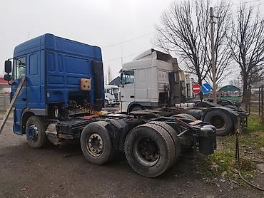 Тягачи: Тягач, DAF, 2013 г., Без прицепа — 6