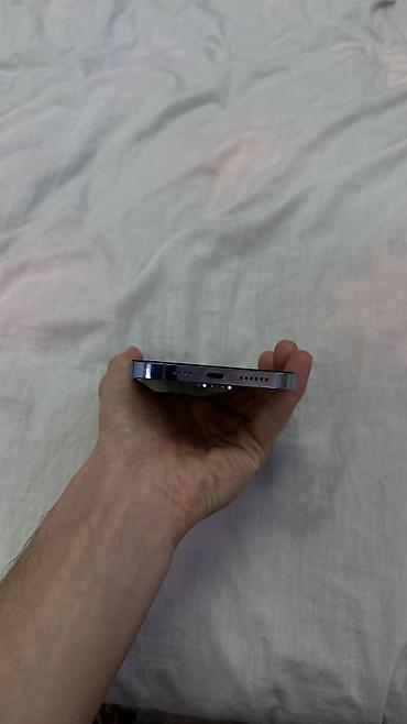 Apple iPhone: IPhone 13 Pro Max, Б/у, 256 ГБ, Sierra Blue, Чехол, 85 % — 9