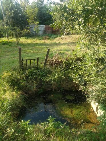 şəkidə ev satışı: 22 sot, Kənd təsərrüfatı, Mülkiyyətçi, Kupça (Çıxarış)